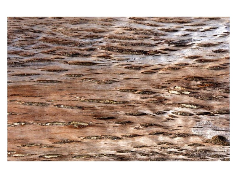 Lot 124 Myamba Parade, Surfside NSW 2536