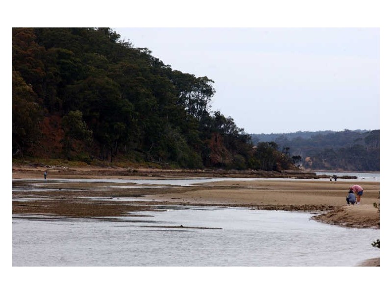 Lot 124 Myamba Parade, Surfside NSW 2536