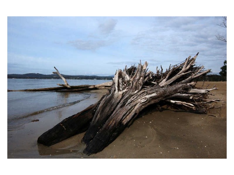 Lot 124 Myamba Parade, Surfside NSW 2536