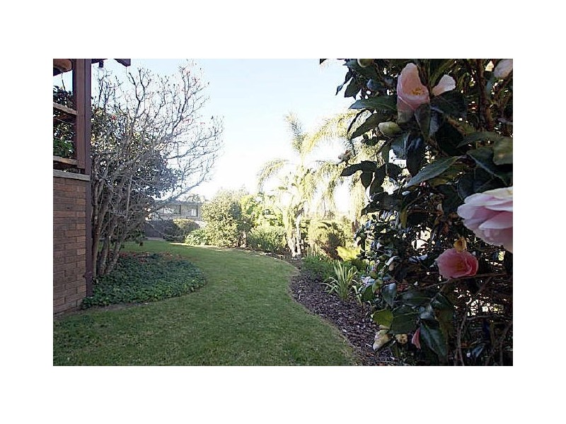 56 Cook Avenue, Surf Beach NSW 2536