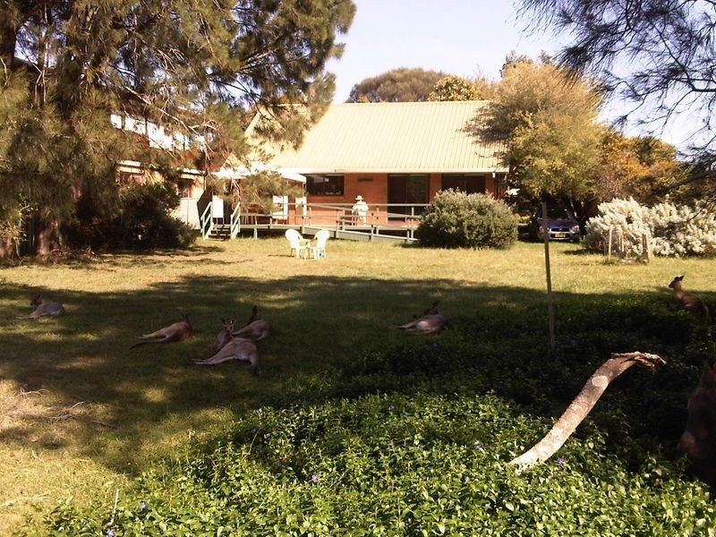 23 Hibiscus Close, Maloneys Beach NSW 2536