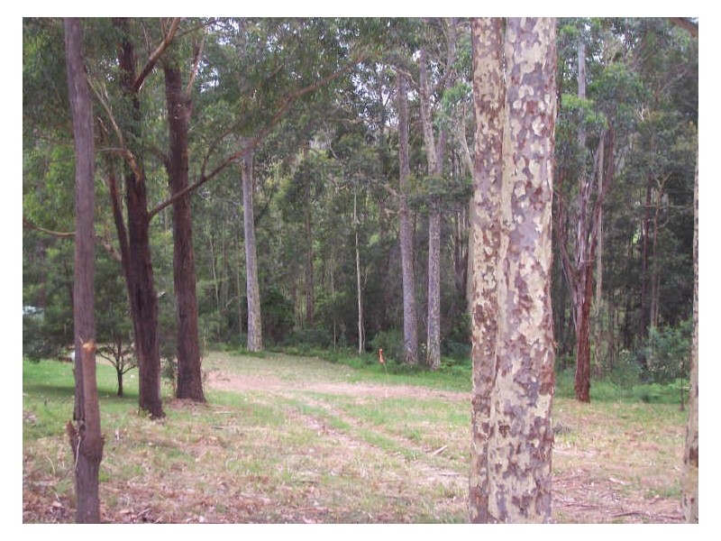 23 Catalina Drive, Catalina NSW 2536