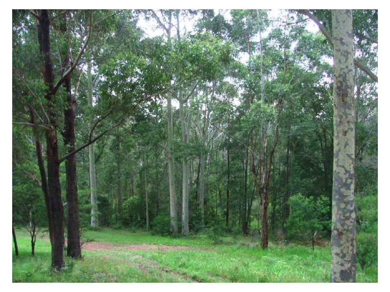 23 Catalina Drive, Catalina NSW 2536