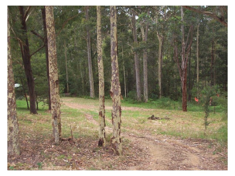 23 Catalina Drive, Catalina NSW 2536