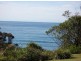 141 Annetts Pde, Mossy Point NSW 2537