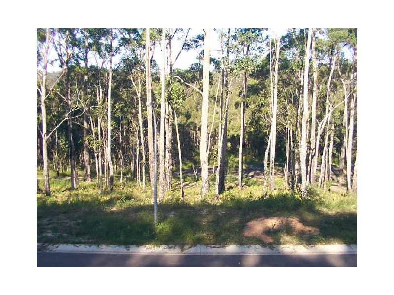 Lot 206 Oakwood Way, Catalina NSW 2536
