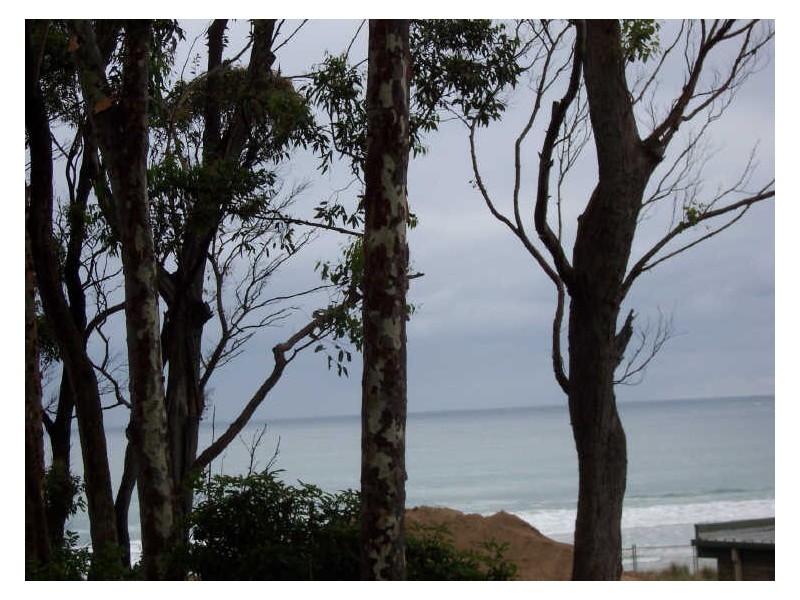 645 Beach Road, Surf Beach NSW 2536
