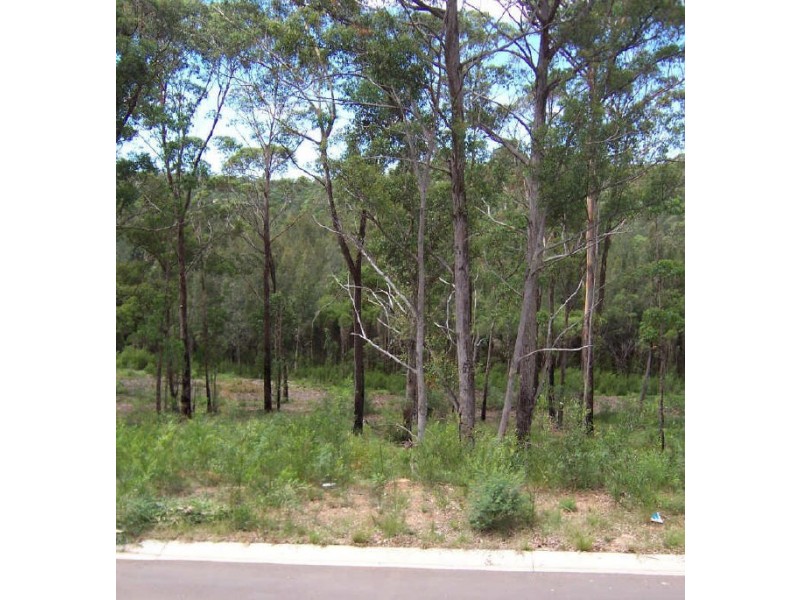 Lot 210 Oakwood Way, Catalina NSW 2536