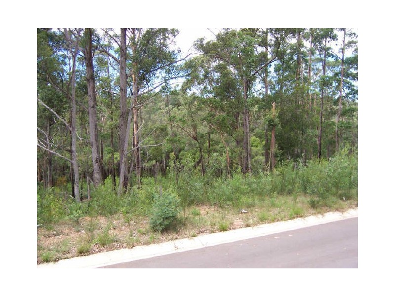 Lot 211 Oakwood Way, Catalina NSW 2536