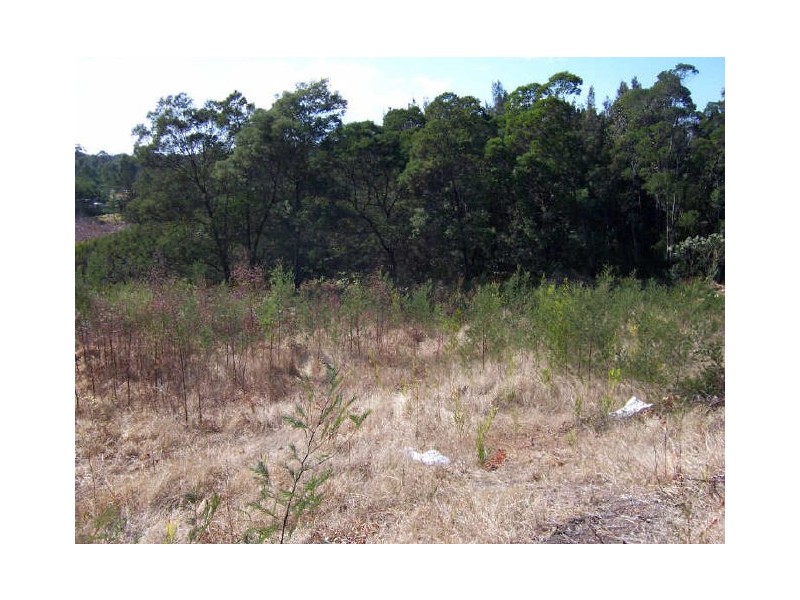 Lot 201 Oakwood Way, Catalina NSW 2536