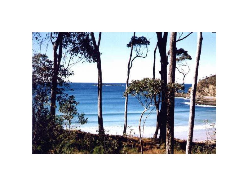 39 Lilli Pilli Road, Lilli Pilli NSW 2536