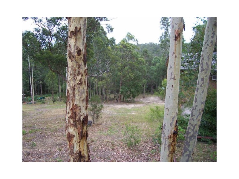 25 Palana Street, Surfside NSW 2536