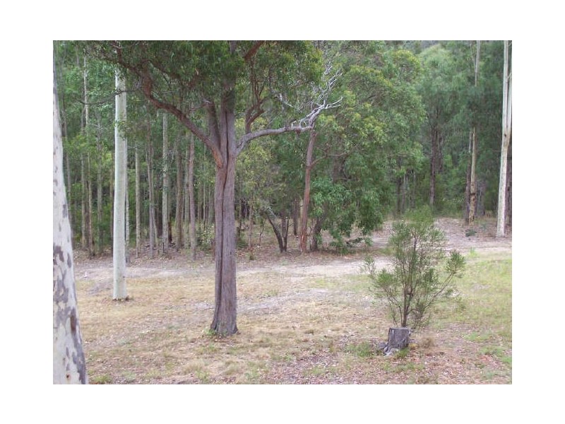 25 Palana Street, Surfside NSW 2536