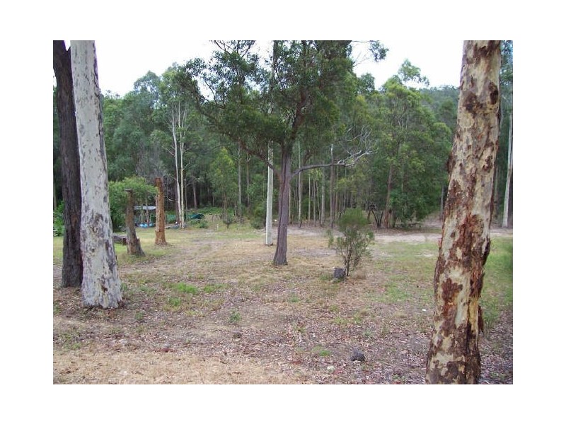 25 Palana Street, Surfside NSW 2536