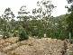 121 Country Club Drive, Catalina NSW 2536