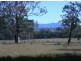 Lot 19 Congo Road – The Meadows, Congo NSW 2537