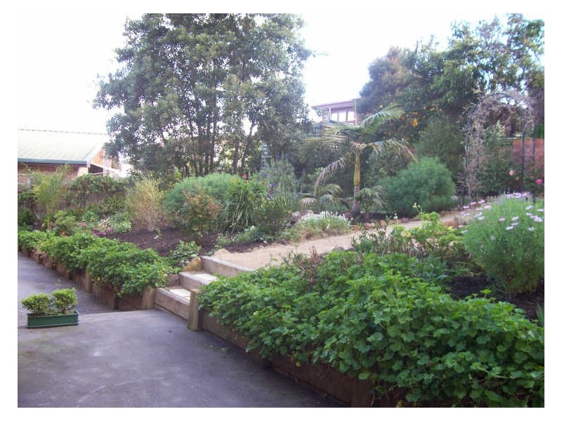 20 Johnson Place, Surf Beach NSW 2536