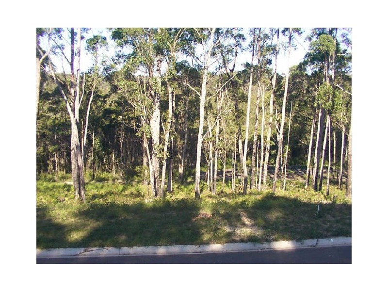 29 Lot 213 Oakwood Way, Catalina NSW 2536