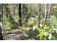 29 Lot 213 Oakwood Way, Catalina NSW 2536