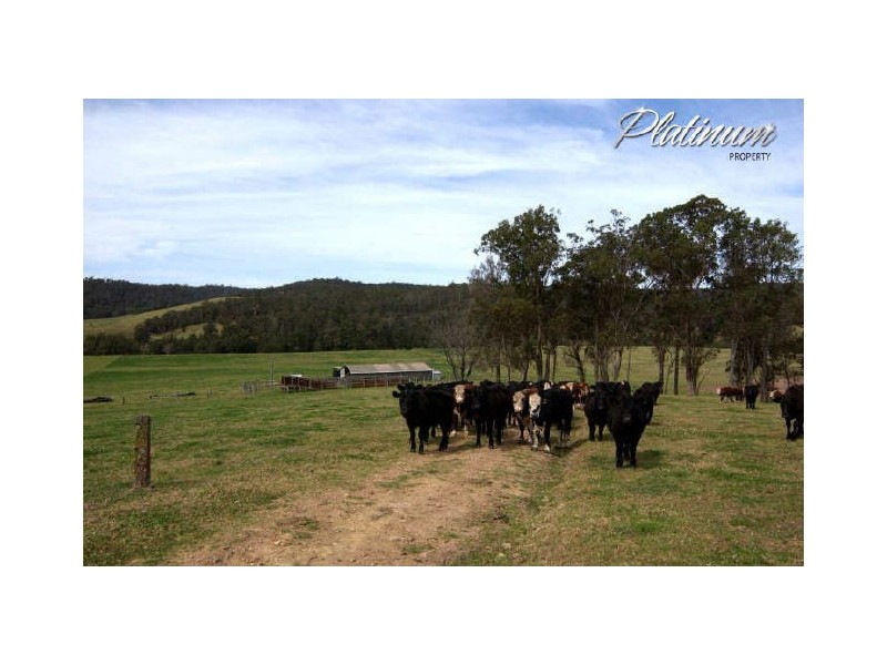 347 Nerrigundah Mountain Road-Stockyard Farm, Bodalla NSW 2545