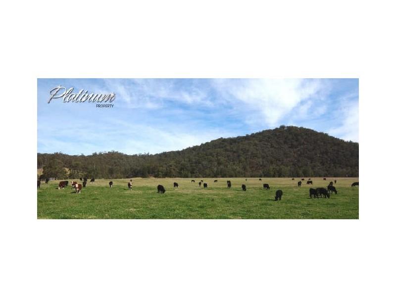 347 Nerrigundah Mountain Road-Stockyard Farm, Bodalla NSW 2545