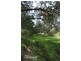 347 Nerrigundah Mountain Road-Stockyard Farm, Bodalla NSW 2545