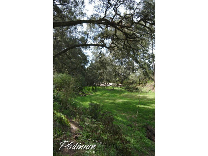 347 Nerrigundah Mountain Road-Stockyard Farm, Bodalla NSW 2545