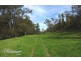 347 Nerrigundah Mountain Road-Stockyard Farm, Bodalla NSW 2545