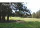 347 Nerrigundah Mountain Road-Stockyard Farm, Bodalla NSW 2545