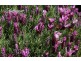 347 Nerrigundah Mountain Road-Stockyard Farm, Bodalla NSW 2545
