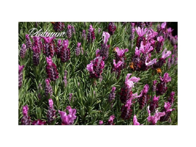 347 Nerrigundah Mountain Road-Stockyard Farm, Bodalla NSW 2545