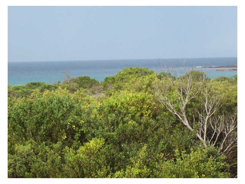 5 HARBOUR DRIVE, Broulee NSW 2537