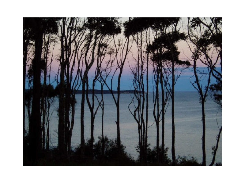 1/207 Beach Road, Denhams Beach NSW 2536