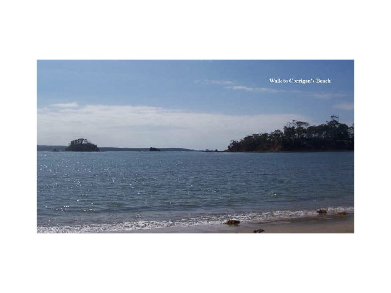 3 Oakwood Way, Catalina NSW 2536