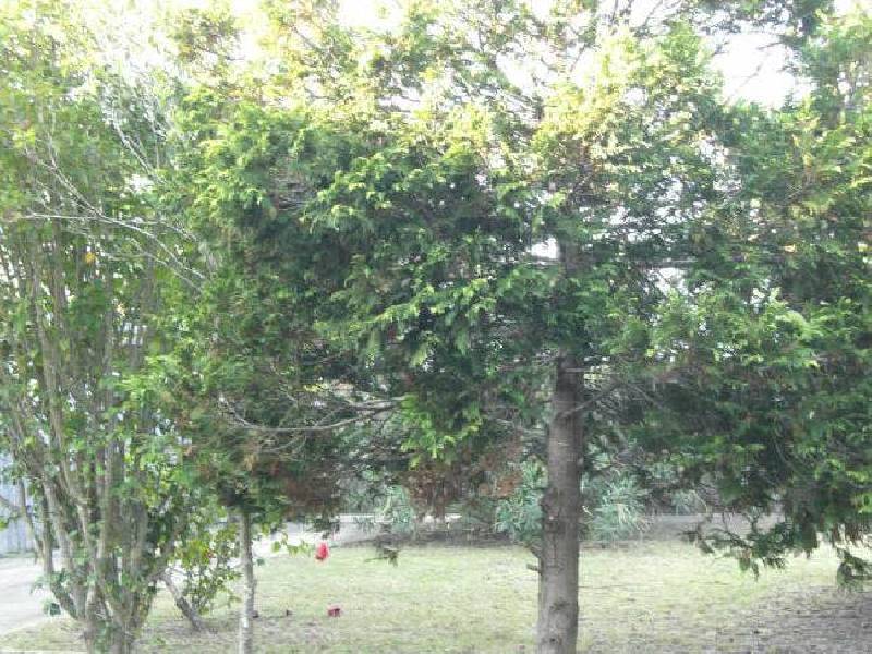 390 Beach Road, Batehaven NSW 2536