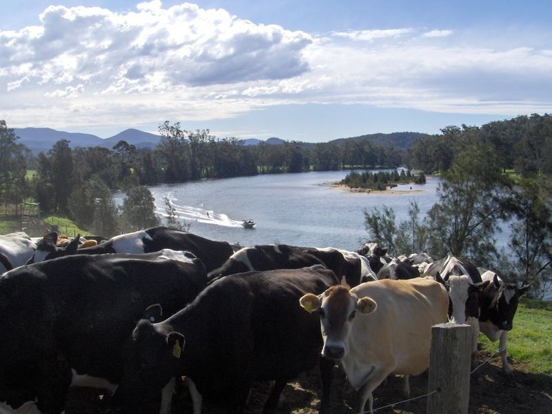 4804-4808 Greenway Farm – Princes Highway, Bodalla NSW 2545