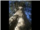 4804-4808 Greenway Farm – Princes Highway, Bodalla NSW 2545