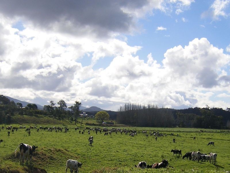 4804-4808 Greenway Farm – Princes Highway, Bodalla NSW 2545