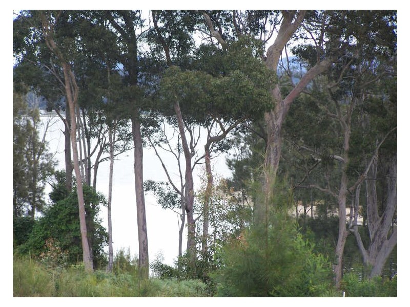 1/62 Courtenay Crescent, Long Beach NSW 2536