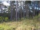 Lot 29 Kettle Road, Long Beach NSW 2536