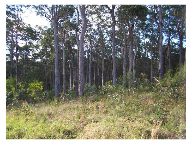 Lot 29 Kettle Road, Long Beach NSW 2536