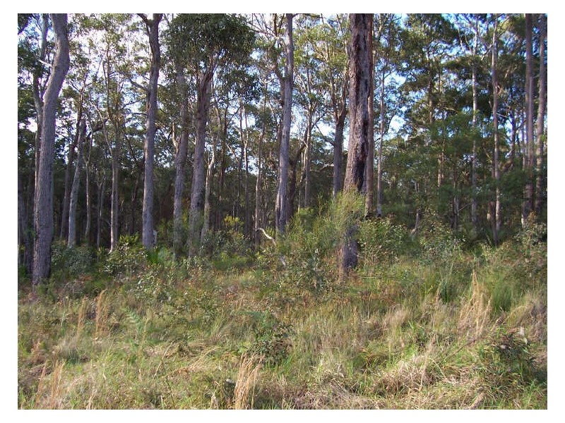 Lot 29 Kettle Road, Long Beach NSW 2536