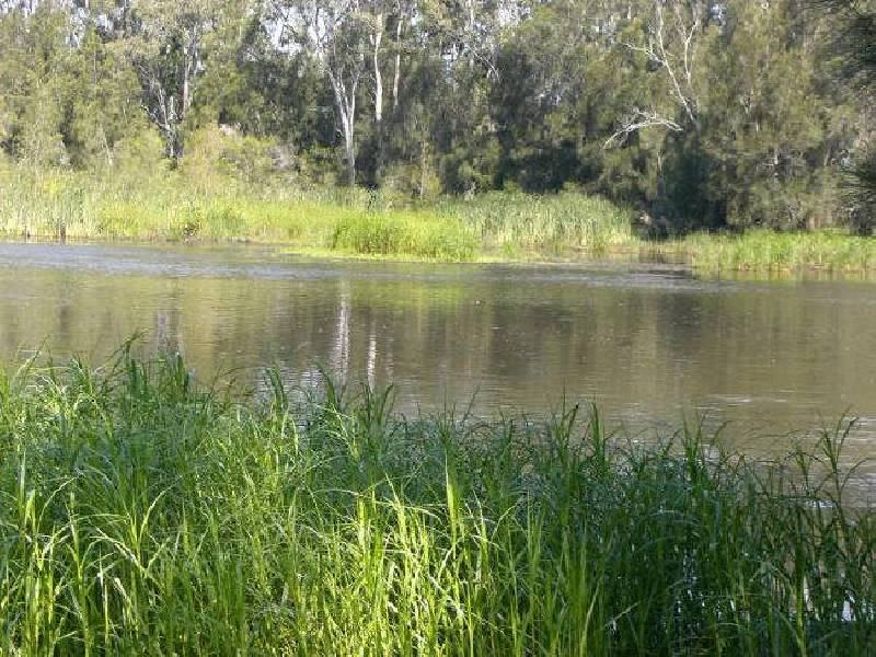 7 Beatrice Place, Long Beach NSW 2536