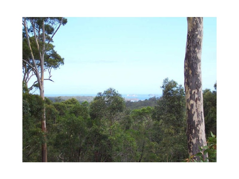 Lot 49 Sea Acres Drive, Long Beach NSW 2536