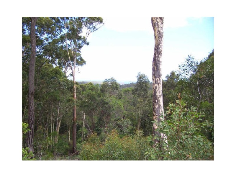 Lot 49 Sea Acres Drive, Long Beach NSW 2536