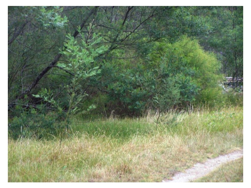 5 Maulbrooks Road, Jeremadra NSW 2536