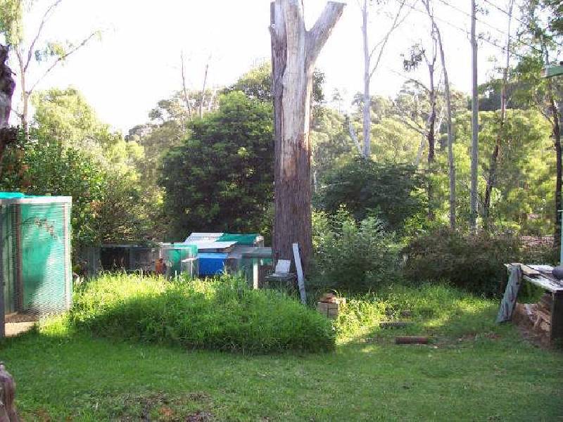 12 Calga Crescent, Catalina NSW 2536