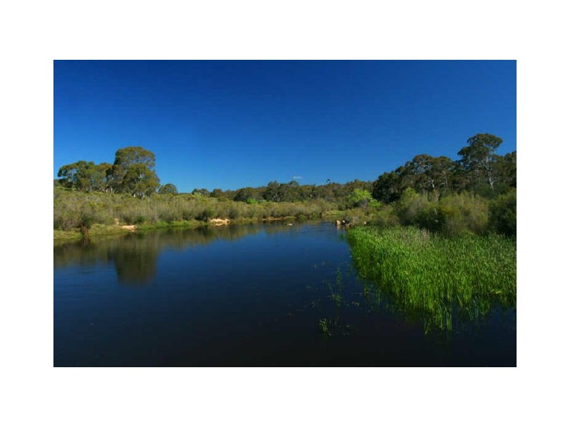 114 Wallace Street – The Dragon, Braidwood NSW 2622