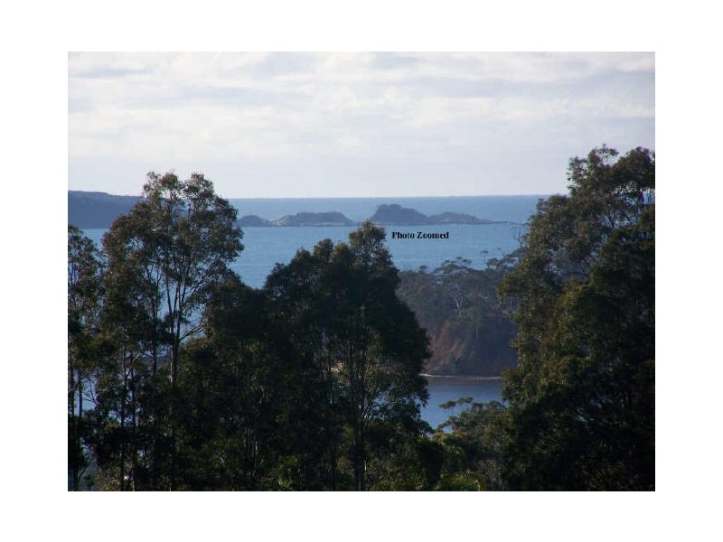 117 Vista Avenue, Catalina NSW 2536