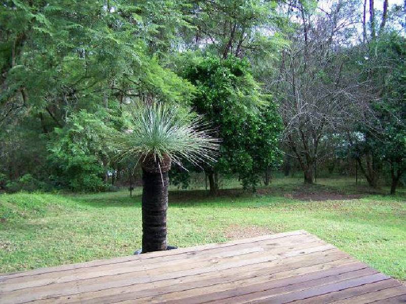 13 Runnyford Road, Nelligen NSW 2536